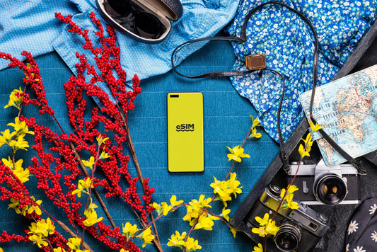 5 Reasons You Need a Travel eSIM