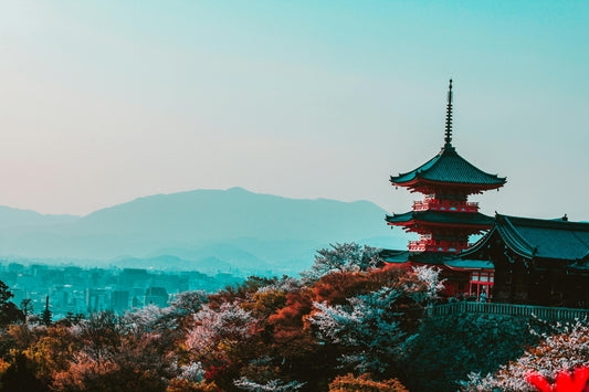 The Best City in Asia to Visit During Spring: Kyoto, Japan